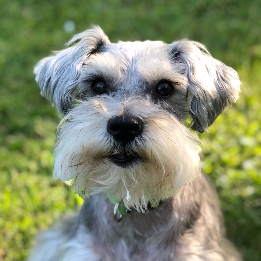 Meet your Posher, Brandy